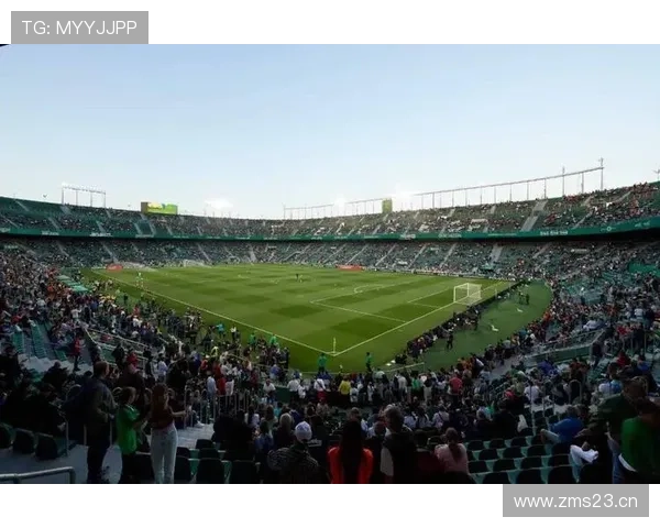 西甲巴莱罗主场 西甲巴莱罗主场