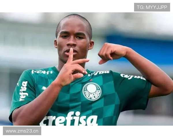 恩德里克爆发赛季解析:帕尔梅拉斯时期的数据表现与战术角色