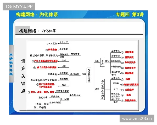 多萨里技术进化解析：盘带突破效率与传射决策如何持续提升